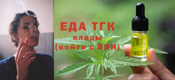 дживик Бородино