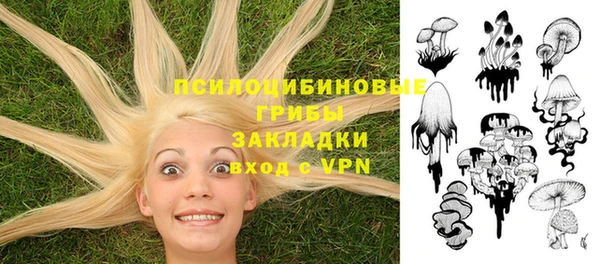 дживик Бородино