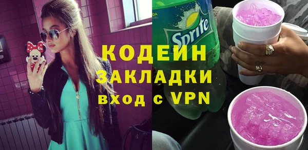 дживик Бородино