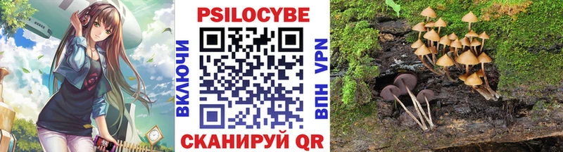 Псилоцибиновые грибы мухоморы  Катайск 