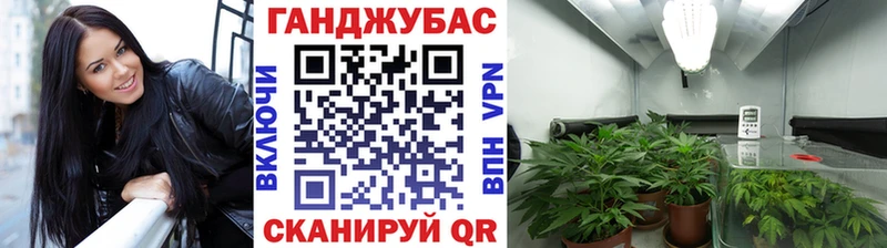 блэк спрут ссылка Катайск Бошки марихуана LSD WEED цены